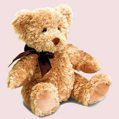 Sherwood Teddy Bear